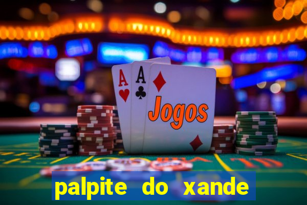 palpite do xande para hoje